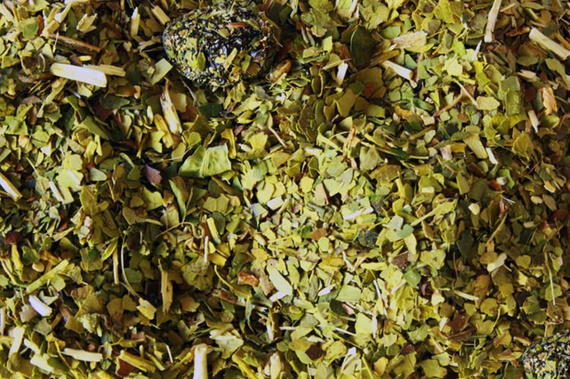 Yerba Mate Green PAPAJA MORINGA