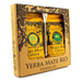 Zestaw Yerba Mate Bio Xperience Starter Set - kartonowe pudełko