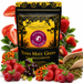 Zestaw Yerba Mate Green Fruit Force 500g Matero Bombilla BOLA GRIS Prezent
