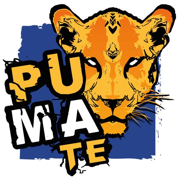 Zestaw Yerba Mate PumaTe 3x 500g różne smaki