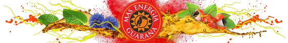Yerba Mate Green MAS ENERGIA GUARANA 6x400g