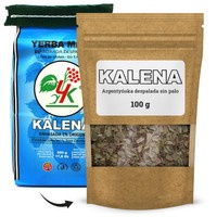 Argentyńska Yerba Mate Kalena Despalada Suave 100g