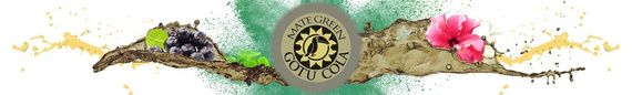 WYPRZEDAŻ Yerba Mate Green GOTU COLA 1kg ostatnie sztuki