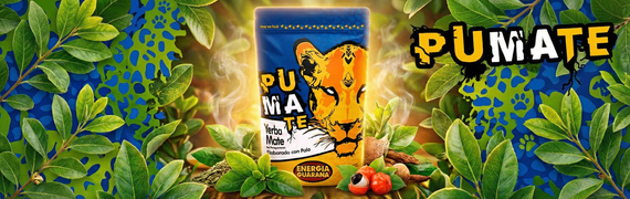 Zestaw Yerba Mate PumaTe 3x 500g różne smaki