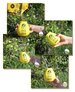 Yerba Mate Green MAS IQ Tropical 