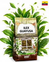 Ilex Guayusa siostra yerba mate podwójna moc ekwadorskiego zioła