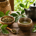 Ilex Guayusa siostra yerba mate podwójna moc ekwadorskiego zioła