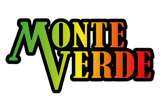 Yerba Mate Monte Verde Energia Guarana 500g