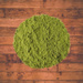 Herbata Matcha Premium Green Tea Powder