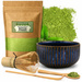 ZESTAW PREZENTOWY 5 SZT DO HERBATY MATCHA ZESTAW DO PARZENIA MATCHY ŁYŻKA + GRATIS yerba