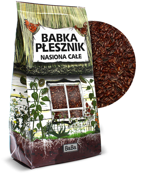 Babka płesznik - nasiona