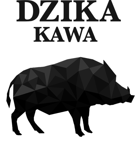 Dzika Kawa 100% Arabica Cerrado Brazylia 1kg