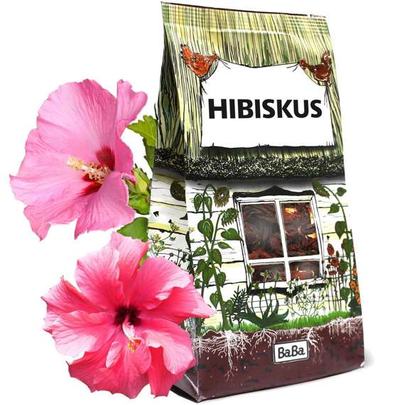 HIBISKUS (Hibiscus) - kwiat