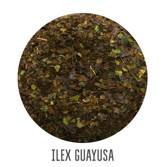 Ilex Guayusa siostra yerba mate podwójna moc ekwadorskiego zioła