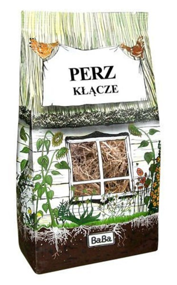 PERZ - kłącze