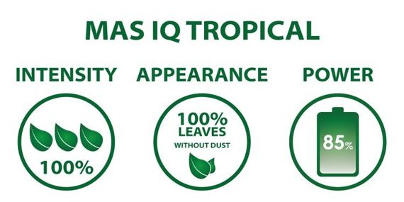 Yerba Mate Green MAS IQ Tropical 