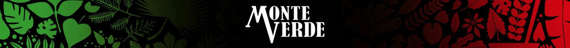Zestaw startowy Yerba Mate Monte Verde 0,5kg 500g