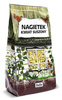Nagietek - kwiat