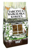 Tarczyca bajkalska- korzeń cięty