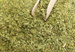 WYPRZEDAŻ - Yerba Mate Bio Organic Hemp Despalada 400g - uszkodzone opakowanie