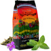 Zestaw 1kg Yerba Mate El Pajaro elaborada 20x 50g