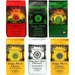 Zestaw Yerba Mate Green 6x 400g Guarana Organic